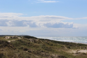 Kattegat Coast at Staengehus Beach in Tisvilde Hegn. Photo in direction west to Liseleje by Erik K Abrahamsen